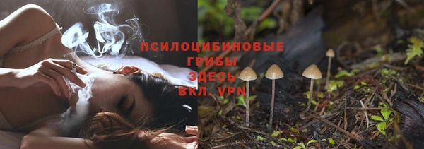ешки Зеленокумск
