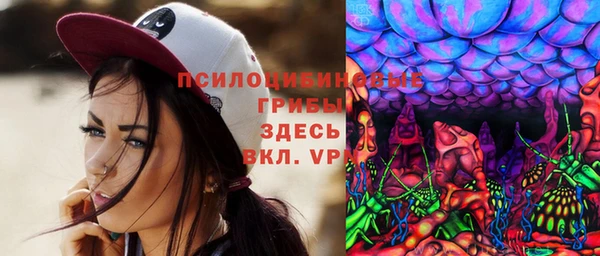 2c-b Иннополис