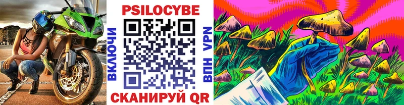 Купить где  Белоярский  Галлюциногенные грибы Psilocybine cubensis 